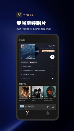 VIPER HiFi 截图 2