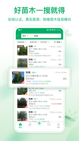 苗仓 截图 2